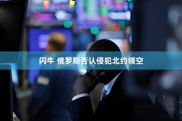 闪牛 俄罗斯否认侵犯北约领空