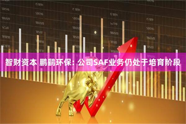 智财资本 鹏鹞环保: 公司SAF业务仍处于培育阶段