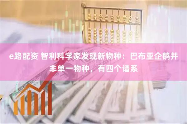 e路配资 智利科学家发现新物种：巴布亚企鹅并非单一物种，有四个谱系
